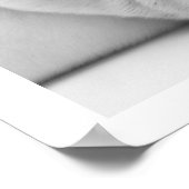 Poster Chien blanc dormant (Coin)