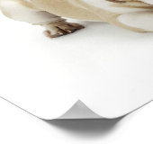 Poster Chien blanc et tacheté (Coin)