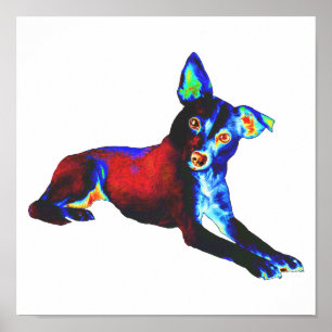 Poster Chien bleu