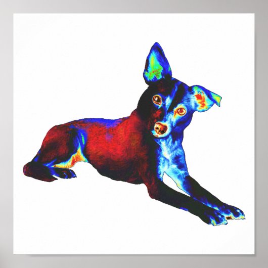 Poster Chien bleu (Devant)