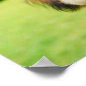 Poster Chien bouffé aux grands yeux | Image Joyeuse de an (Coin)