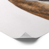 Poster chien boxer avec casque (Coin)