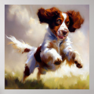 Poster Chien breton