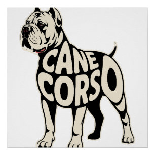 Poster Chien Cane Corso Typographie Gras Art