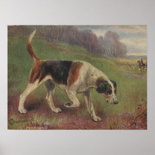 Poster Chien, Canine, Chasse, Chasse Vintage