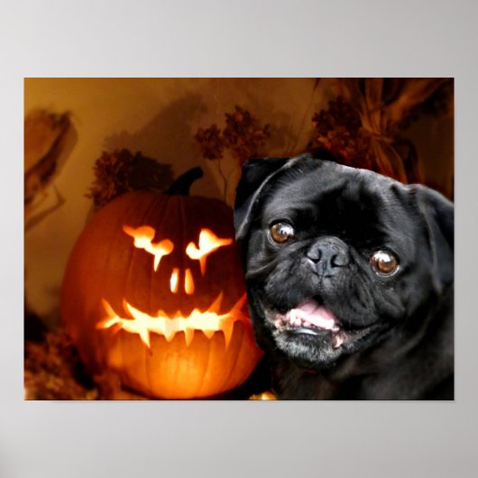Poster Chien Carlin d'Halloween (Devant)