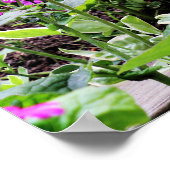 Poster Chien chassé chinois violet en fleurs roses (Coin)