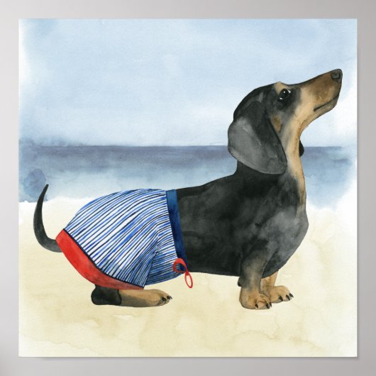 Poster Chien chaud | Chiot Dans Les Troncs De Baignade (Devant)