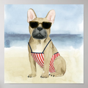 Poster Chien chaud   Chiot En Lunettes De Soleil À La Pla