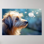 Poster Chien Chien Chien Chien Animal Tranquille Pacifiqu (Devant)