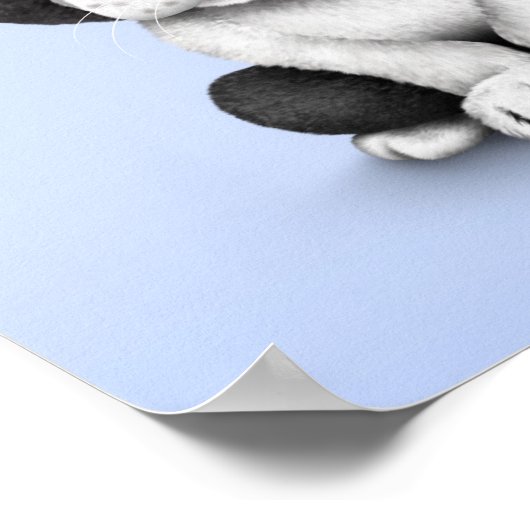 Poster Chien Chien Chien Chien Chien Chien Mignonne Franç (Coin)