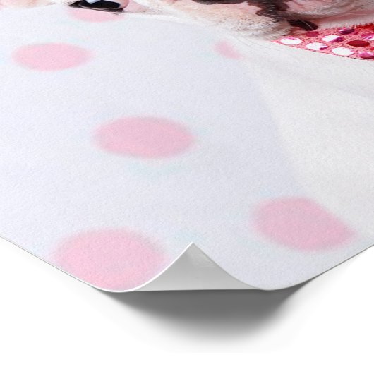 Poster Chien-chien français Chien-chien avec Pois (Coin)