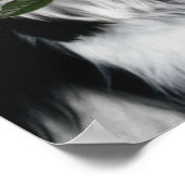 Poster Chien Chih Tzu (Coin)