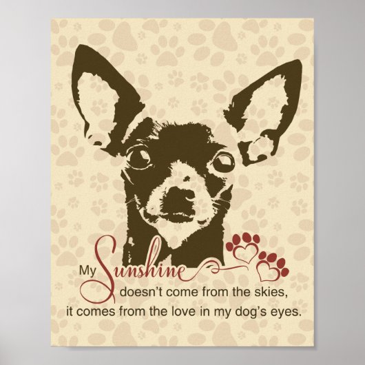 Poster Chien Chihuahua Mon Soleil (Devant)