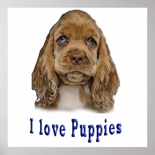 Poster Chien chiot (Devant)