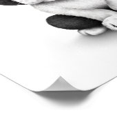 Poster Chien chiot français mignon sur blanc (Coin)