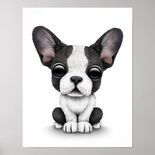 Poster Chien chiot français mignon sur blanc (Devant)