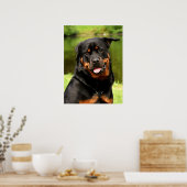Poster Chien chiot noir et tan Rottweiler (Cuisine)