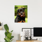 Poster Chien chiot noir et tan Rottweiler (Bureau à domicile)