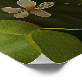 Poster Chien Cocker Spaniel en tenue de la Saint-Patrick (Coin)