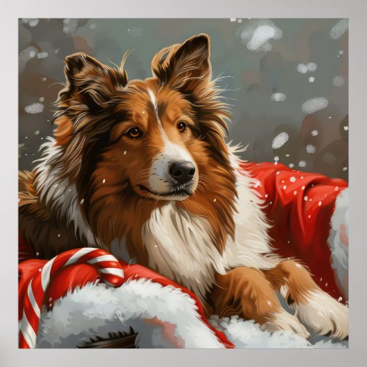 Poster Chien Colley Rough Noël Fêtard (Devant)
