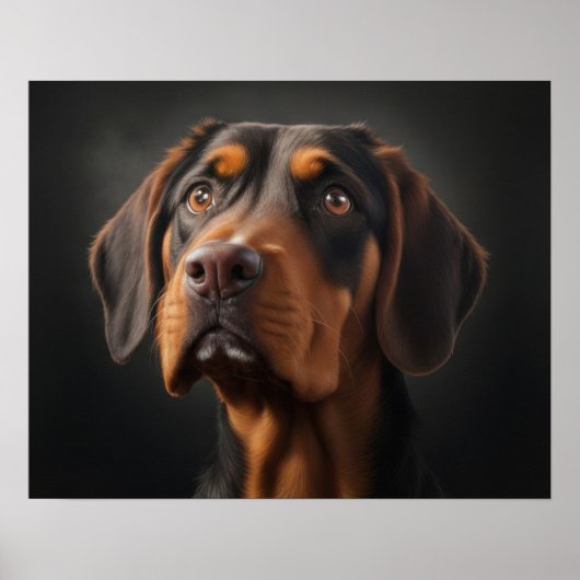 Poster Chien Coonhound (Devant)