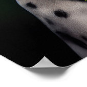 Poster Chien dalmate en tenue de la Saint Patrick (Coin)