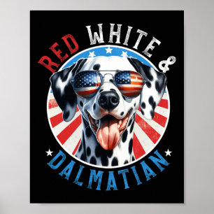 Poster Chien Dalmatien 4 juillet Blanc Rouge Et Amateurs
