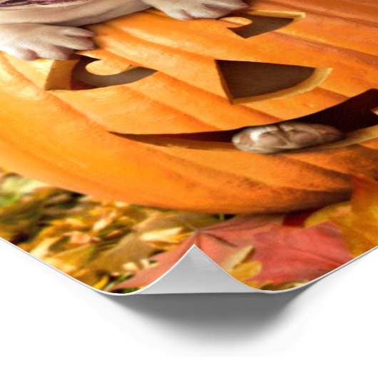 Poster Chien dans Jack-o-Lantern (Coin)