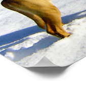 Poster Chien dans la neige (Coin)