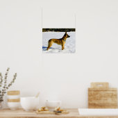 Poster Chien dans la neige (Cuisine)