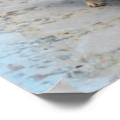 Poster Chien dans la ville bleue (Coin)