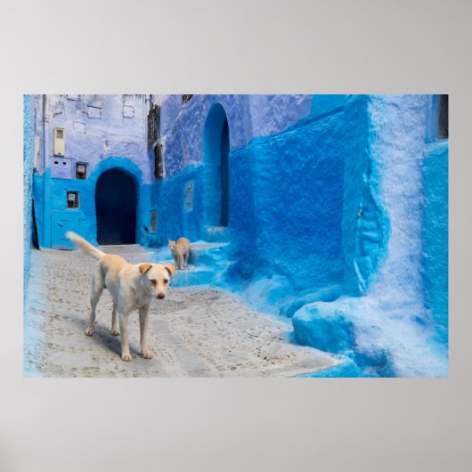 Poster Chien dans la ville bleue (Devant)