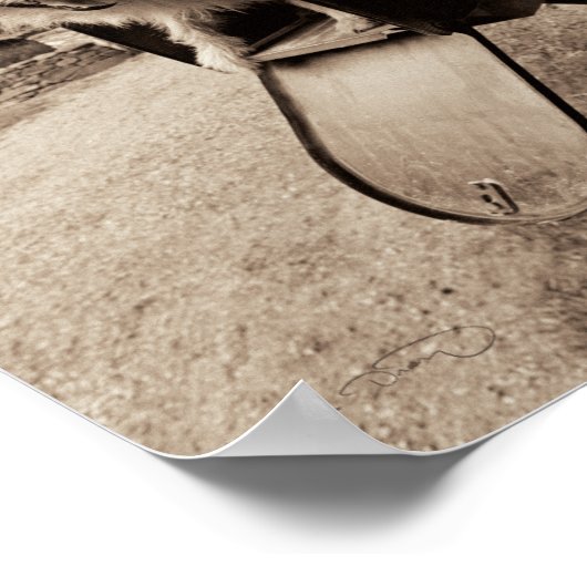 Poster Chien dans une boîte aux lettres (Coin)