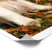 Poster Chien d'automne (Coin)