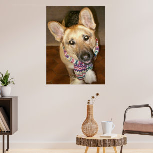 Poster Chien de berger allemand mignon et adorable avec é