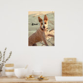 Poster Chien de bétail australien rouge - Heeler - dans l (Cuisine)