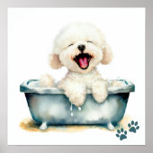 Poster Chien de Bichon Frise (Devant)