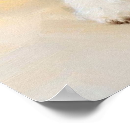 Poster Chien de Bologne (Coin)