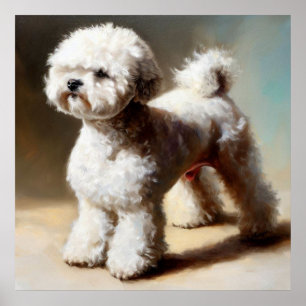 Poster Chien de Bologne