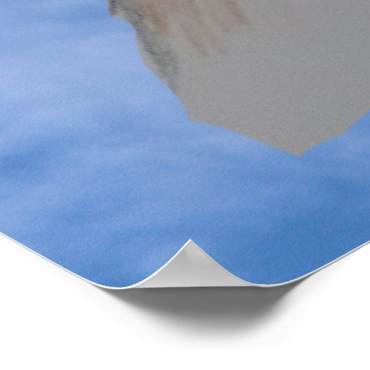 Poster Chien de Boston Terrier (Coin)