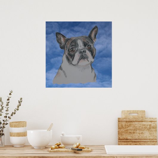 Poster Chien de Boston Terrier (Cuisine)