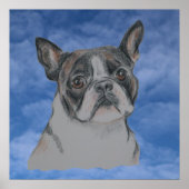 Poster Chien de Boston Terrier (Devant)