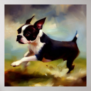 Poster Chien de Boston Terrier