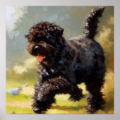Poster Chien de Bouvier des Flandres (Devant)
