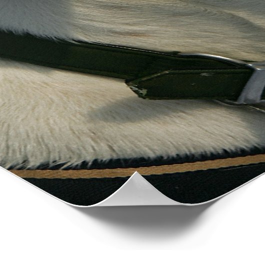 Poster Chien de boxe dans la neige (Coin)