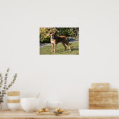 Poster Chien de boxe de la faune debout (Cuisine)