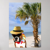 Chien de boxe sur l'affiche de la plage