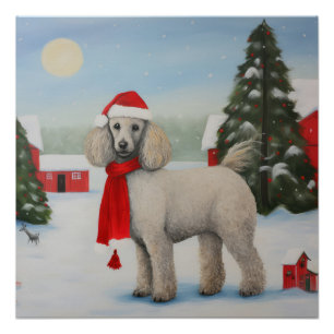 Poster Chien de caniche à Noël de neige