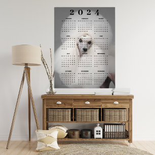 Poster Chien de caniche blanc Fancy Haircut Photo 2024 Ca